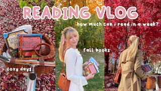 cozy week in my life 💌 reading my fall tbr, book shopping, + new books!