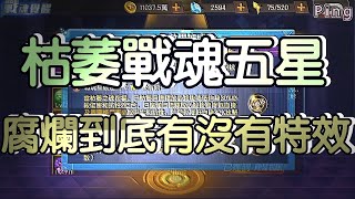 KOF98OL 阿評【台服】枯萎戰魂  5星  腐爛到底有沒有特效