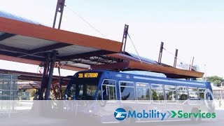 Overview of Accessible Transit Options – RTA Mobility Management Series