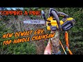 Topping an 80ft Pine Tree with the all new Dewalt 60V Top Handle Battery Chainsaw.