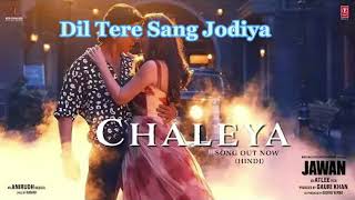 CHALEYA_- lyrics/ Jawan/New Hindi song