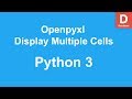 Python OpenpyXL Display Multiple Cells on Command Prompt