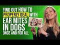 Treatment for Ear Mites in Dogs |  The Natural Options You Need to Know