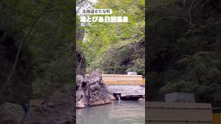 秘湯♨️北海道せたな町【湯とぴあ臼別温泉】基本的に無人の、大自然の中の露天風呂です。