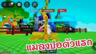 roblox Grow a Graden : แมลงปอสีทองตัวเเรก #roblox #GrowAGraden
