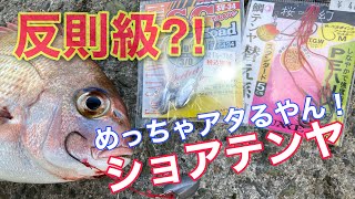 エビしか勝たん！ショアテンヤ釣れてます！