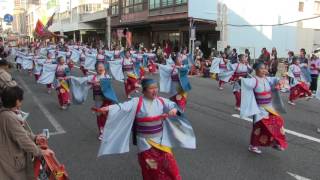 第20回よさこい東海道(2016/11/13)「國府よさこい」