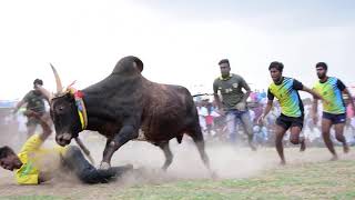 மனப்பட்டி பன்னீர் ராஜா குழு