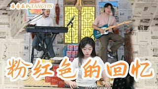 唐音樂隊 | cover《粉紅色的回憶》韩宝仪 | 浪漫的夏天還有浪漫的一個你 | 國風竹笛Flute 二胡Erhu 古箏Guzheng 中國樂器 Chinese music TANGYIN