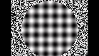 Optical Illusions 2012!