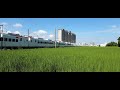 110 09 07 台鐵8772次emu3000型新城際列車試運轉成功北通過