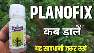 Planofix | Bayer Planofix | Bayer Planofix Technical | Planofix Plant growth regulator