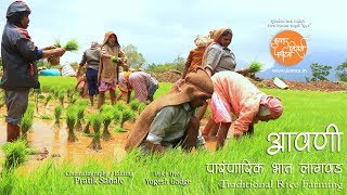 Traditional Rice Farming | Agriculture | Maharashtra | Junnar