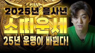 🌟2025년 대박 소띠운세🌟 25년 운명이 바뀐다!!! 61년생 73년생 85년생 97년생 소띠 운세