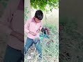 bachpan ki yadon ke sath #bachpan #yadein #gav #villagelife #villagevlog