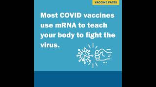 Will the COVID-19 Vaccine Make Me Sick with COVID-19?