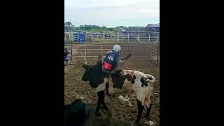 Stephan Tonita bull ride #repost #shorts