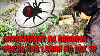 Nakakatakot na Gagamba nga ba ang nasa loob ng box???🤔😮