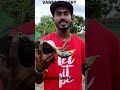 கல் நண்டு 🦀 வளர்ப்பு முல்லைத்தீவு crab farm how to cultivate crab full video link 1st comment🤯😮