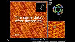 Bacteriorhodopsin imaging with Bruker Dimension FastScan and Peak Force Tapping