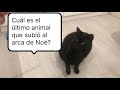 Cuál es el último animal que subió al arca de Noé?