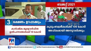 പ്രത്യേക പാക്കേജില്ല; ബജറ്റ് നിരാശപ്പെടുത്തിയെന്ന് വ്യാപാരികൾ | Kerala Budget 2021 | Business