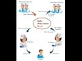 Top 10 Best Electronic Prescribing Software Electronic Medical Records