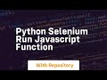 python selenium run javascript function