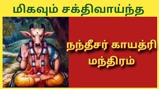 நந்தீசர் காயத்ரி மந்திரம் |Nandi Gayatri Mantra in tamil | Maha Manthiralayam