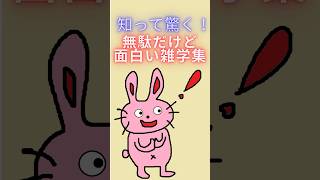 知って驚く！無駄だけど面白い雑学集 #雑学#豆知識#面白い#shorts