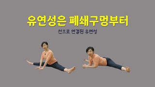 [ 마름모코어 시즌 3-29 ] 다리찢기를 하고 싶다면 폐쇄구멍의 위치부터 파악하세요!