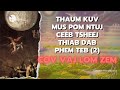 THAUM KUV MUS POM NTUJ CEEB TSHEEJ THIAB DAB PHEM TEB CHAWS (2) : COV VAJ LOM ZEM