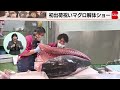 豊洲市場から初出荷　マグロ解体ショーでお祝い