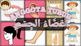 MENGENAL ANGGOTA TUBUH DALAM BAHASA ARAB أَعْضَاءُ الجِسْمِ