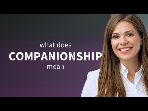 What is companionship?