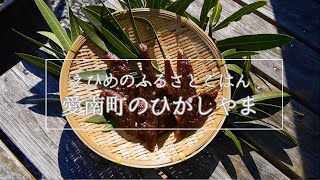 【えひめのふるさとごはん】　愛南町のひがしやま