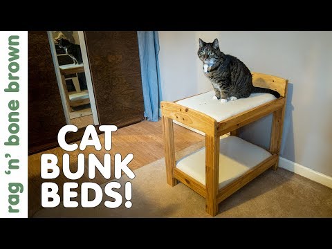 Making Cat Or Dog Bunk Beds Making Cat Or Dog Bunk Beds