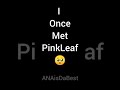 I Met PinkLeaf In Roblox| ANAisDaBest