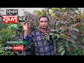 ফলসহ গাছ তুহিন নার্সারিতে | Fruit Tree Price In Tuhin Nursery | Gardening Bangladesh