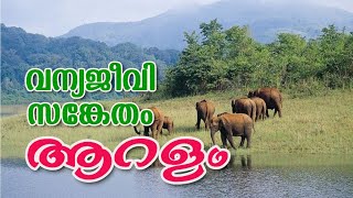 ആറളം വന്യജീവി സങ്കേതം