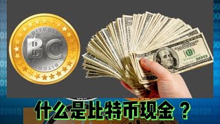 什么是比特币现金(BCH)？What is Bitcoin Cash (BCH)?