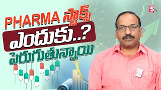 Why Pharma Stocks Are Rising? | Stock Market Telugu | SumanTV Money