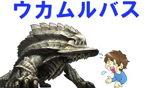 【MH4G】初見ウカムルバス　討伐