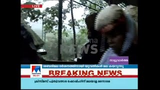 യുവതികൾ മല കയറുന്നു | Sabarimala ladies