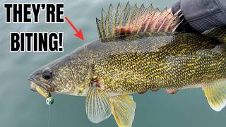 This Memorial Day Fishing Forecast Looks INCREDIBLE!