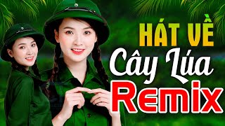 HÁT VỀ CÂY LÚA HÔM NAY REMIX - LK Nhạc Đỏ Cách Mạng Kháng Chiến Remix Bass Căng Bốc Lửa