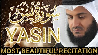Surah Yaseen | Mishary Rashid Al-Afasy | HD | Arabic and English Translation @alafasy