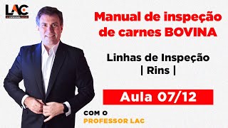 Aula 07: Manual de Inspeção - Linhas de Inspeção | | Rins | Luiz Antônio de Carvalho