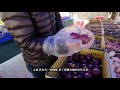 調查報告 挑戰 紐約聯合廣場農夫市場用20美金做西餐 nyc green market @ union sq 紐約市集 紐約農夫市場 farmersmarket unionsquare