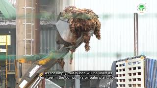 Univanich Palm Oil: Leading Zero Waste Management